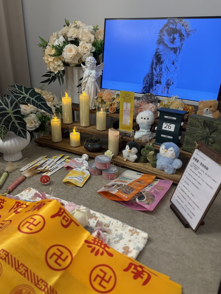 成都宠物殡葬服务实拍