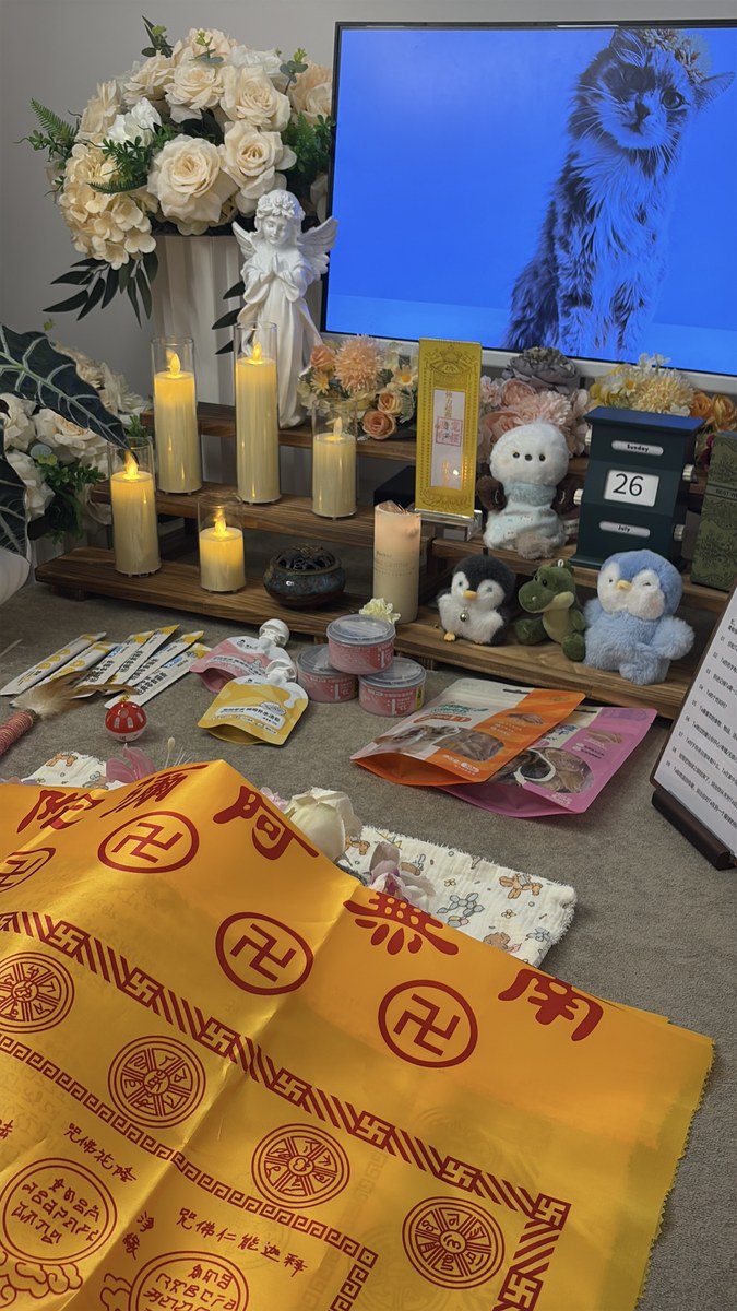 成都宠物殡葬服务实拍