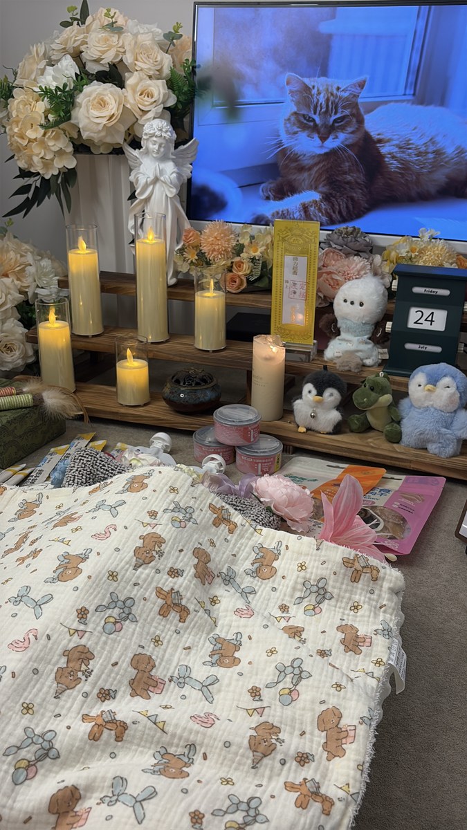 成都宠物殡葬服务实拍