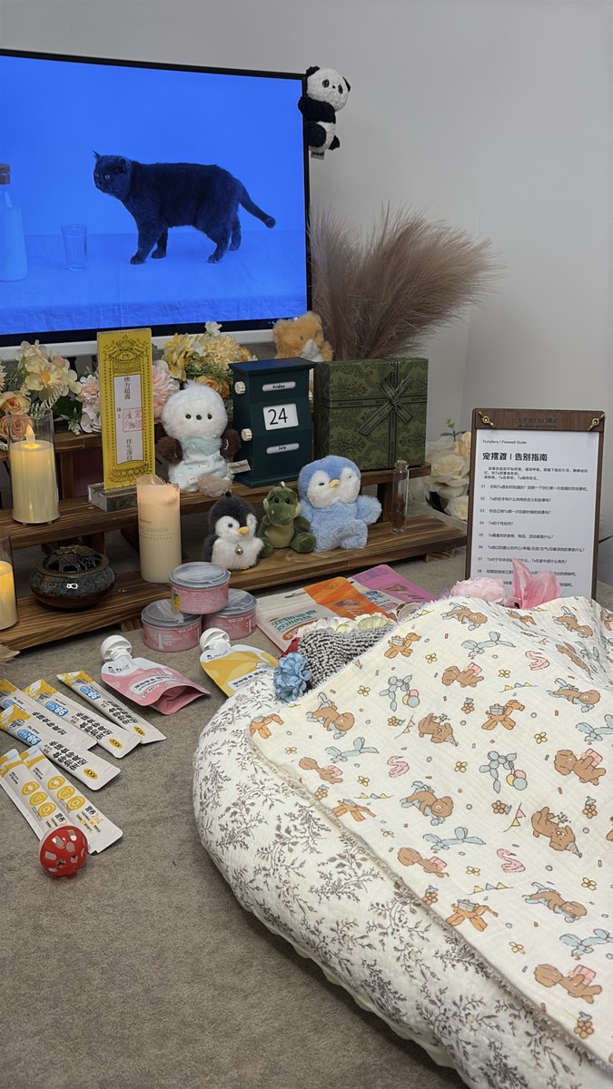 成都宠物殡葬服务实拍