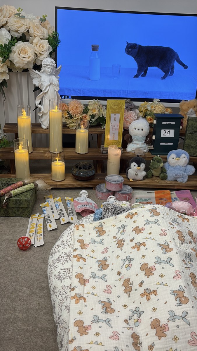 成都宠物殡葬服务实拍