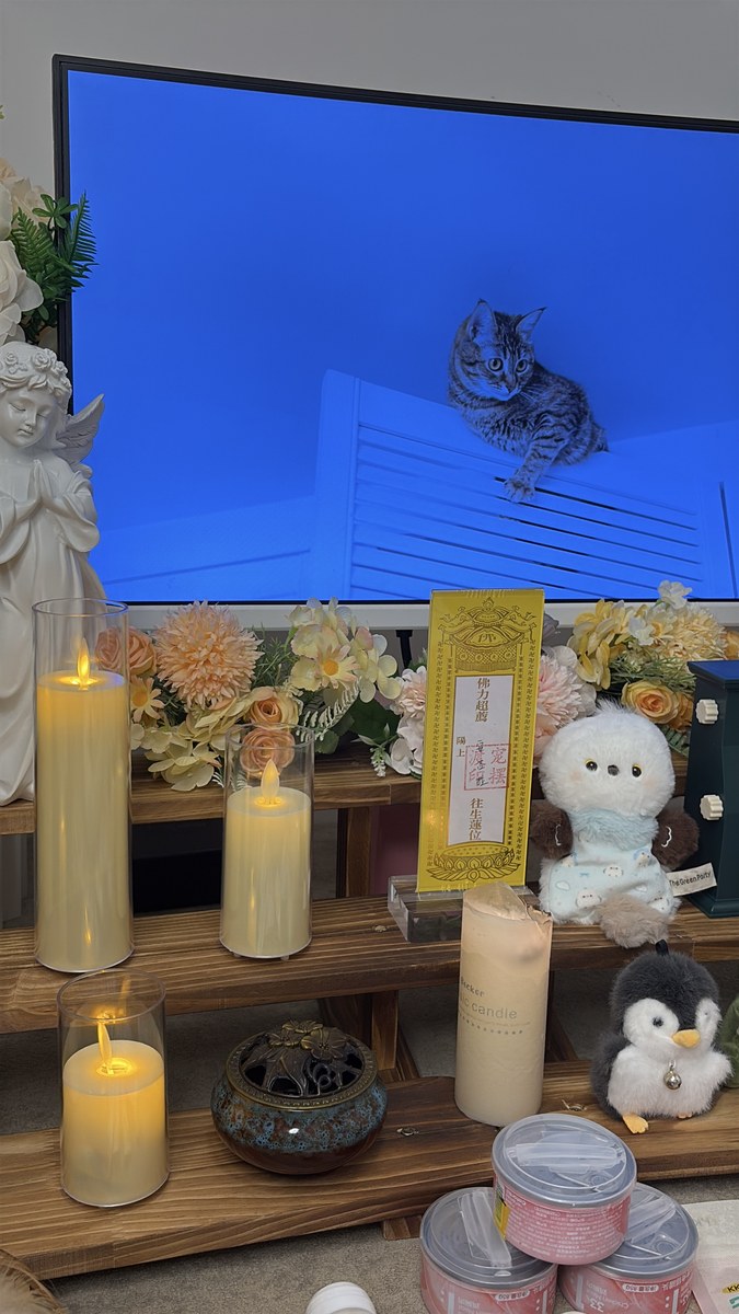 成都多宠家庭如何安排告别与骨灰存放（第3辑）