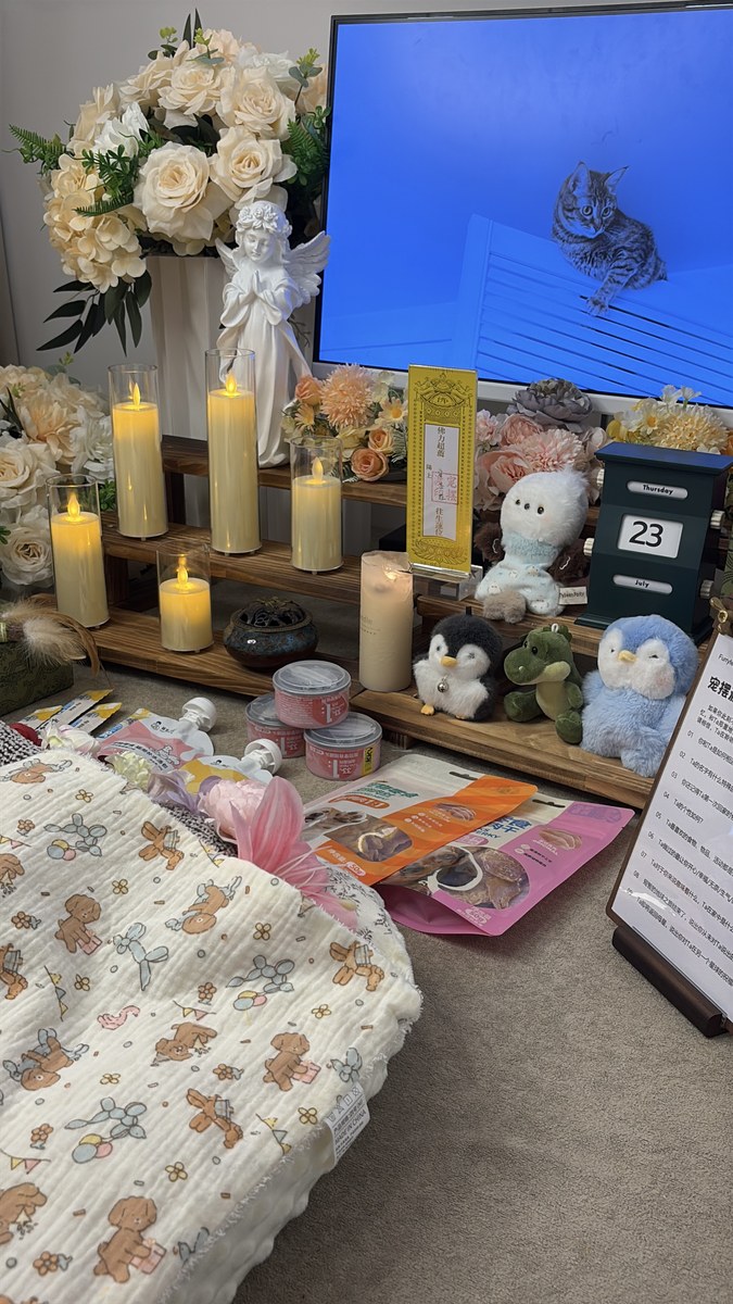 成都宠物殡葬服务实拍