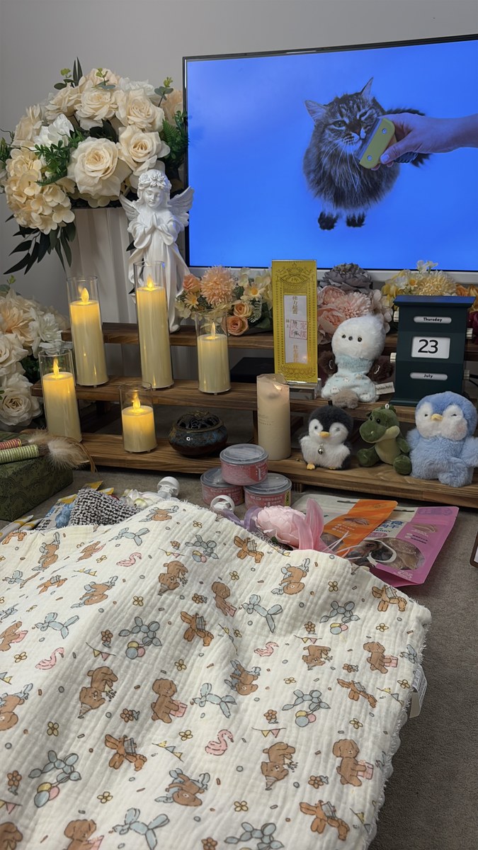 成都宠物殡葬服务实拍