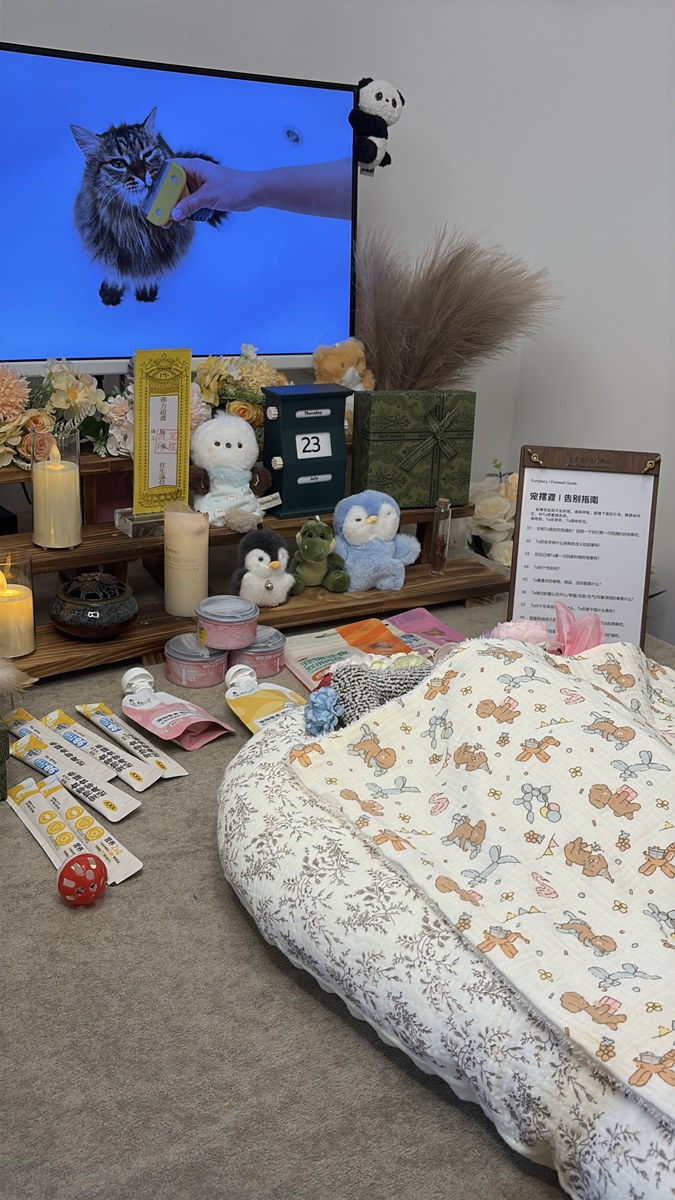 成都宠物殡葬服务实拍
