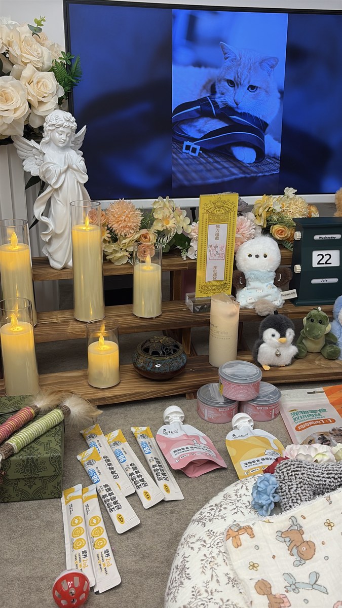 什么时候该给宠物做安乐？成都兽医和家属的判断标准（第16辑）