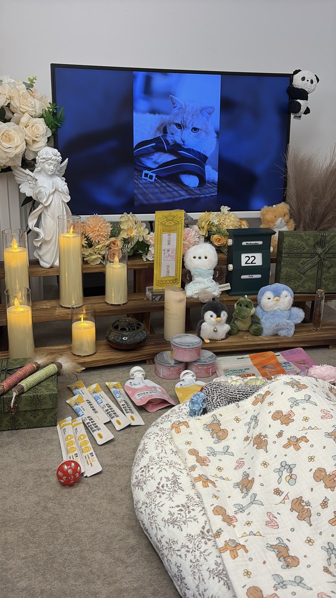 成都宠物殡葬服务实拍