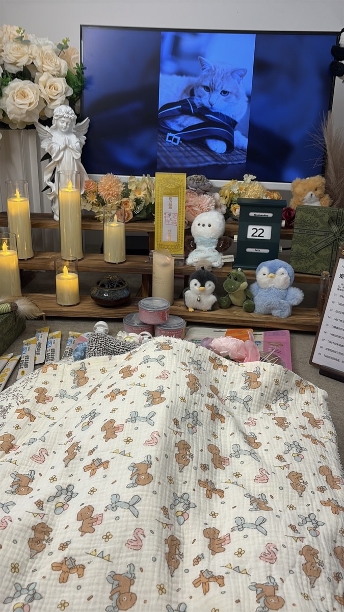 成都夜间宠物殡葬服务：凌晨的电话也能有人接（第3辑）