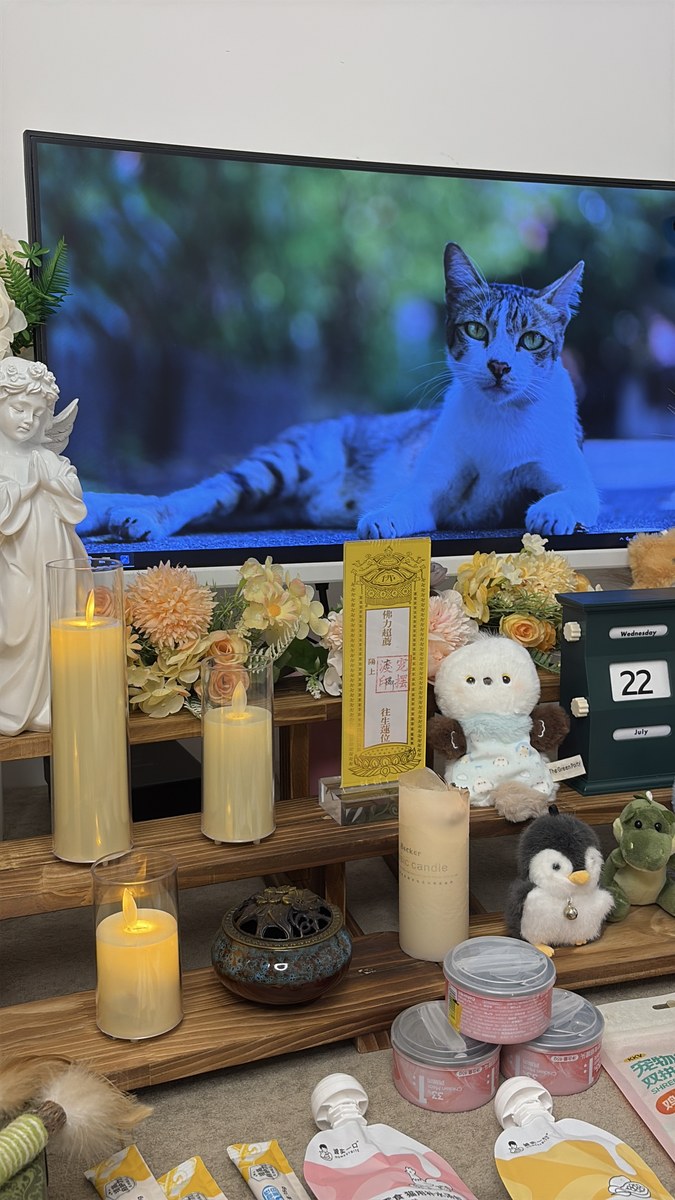 成都宠物殡葬收费透明吗？一份明细账单看懂全流程花费（第20辑）