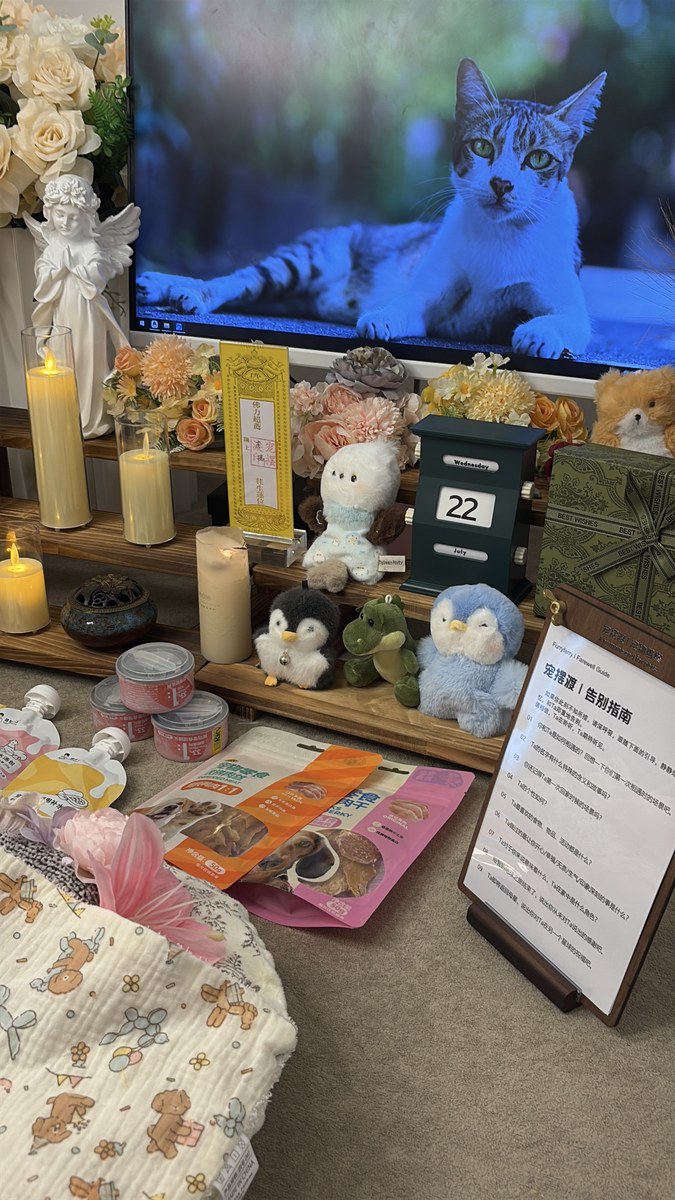 成都宠物殡葬服务实拍