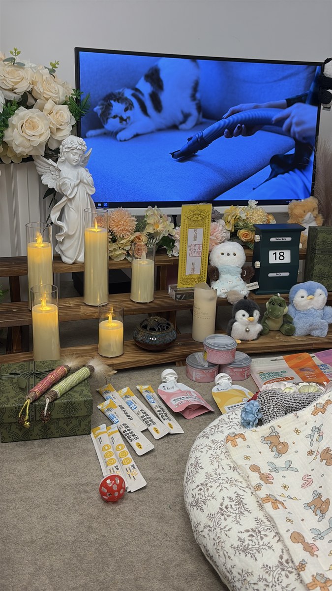 成都宠物殡葬服务实拍