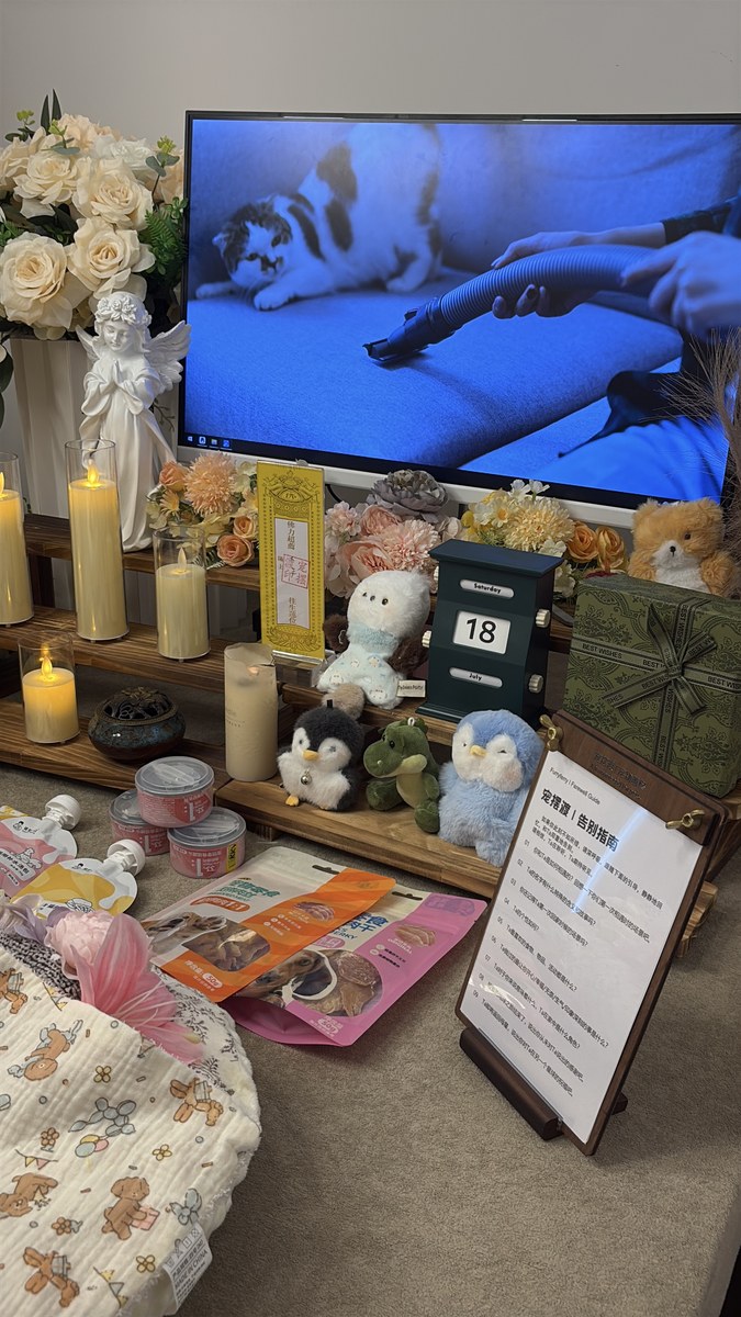 成都宠物殡葬服务实拍