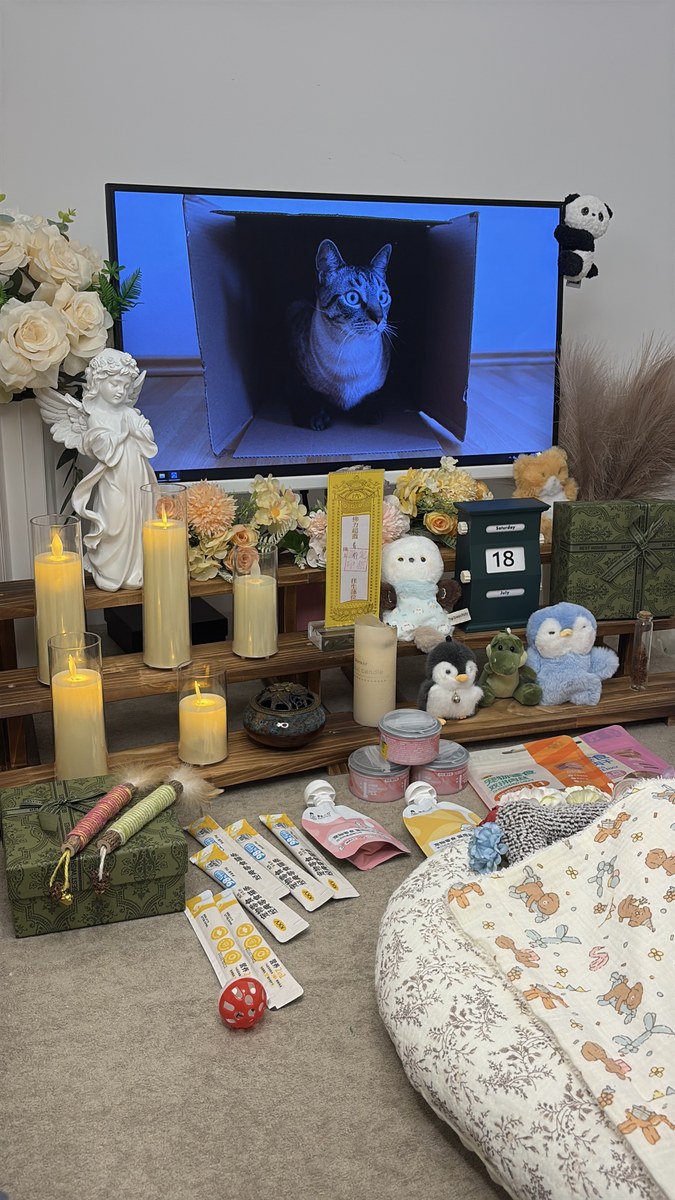 成都宠物殡葬服务实拍