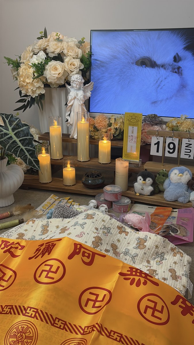 成都老年犬临终关怀与火化安排实用指南（第26辑）