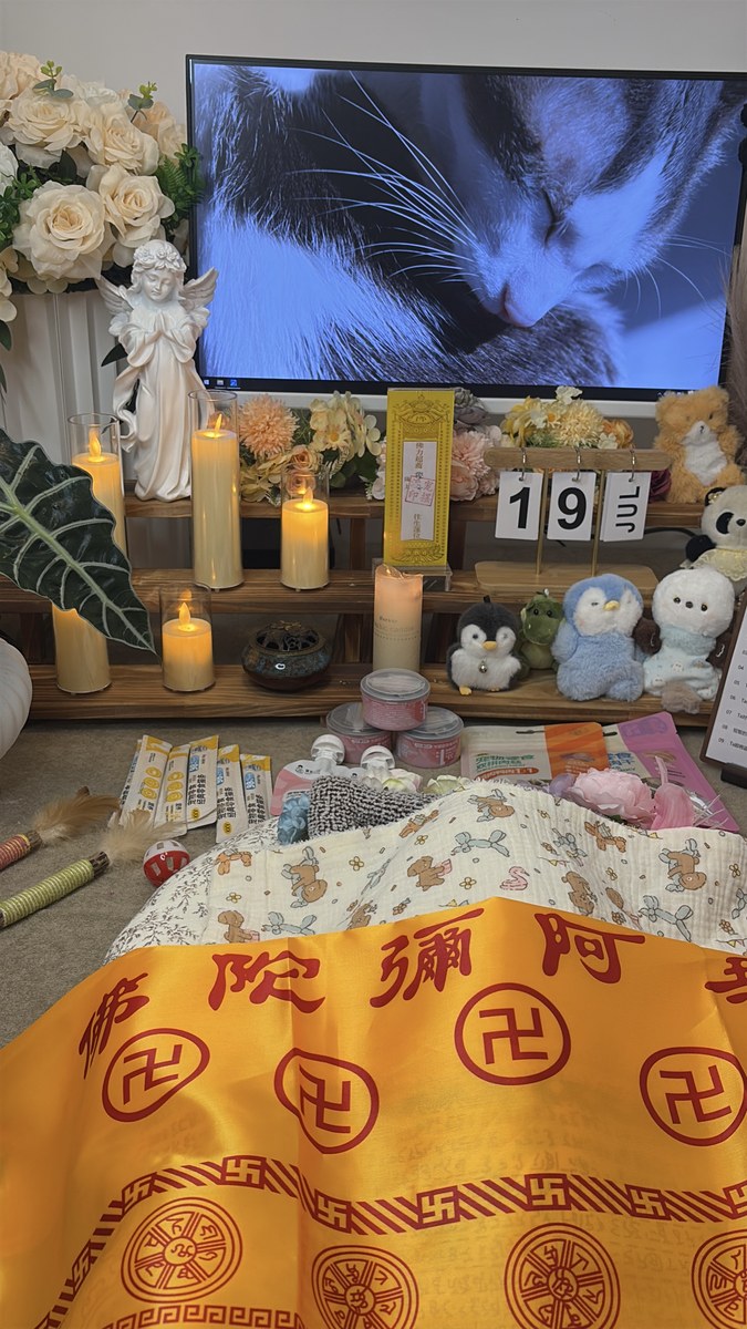 成都宠物殡葬服务实拍