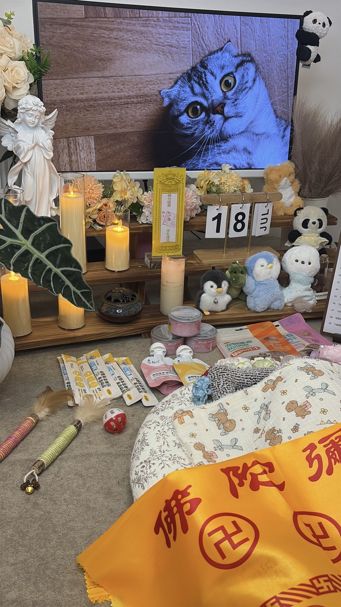 成都宠物殡葬服务实拍