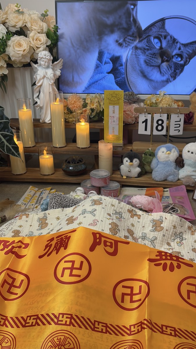 成都宠物殡葬服务实拍