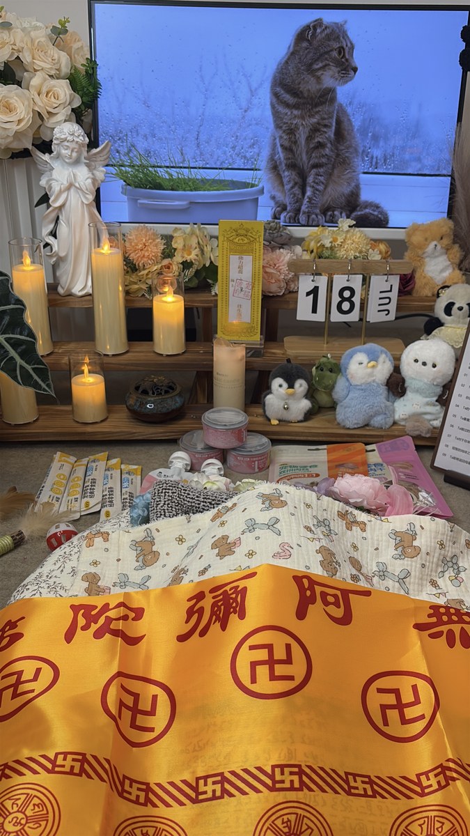 宠物殡葬费用怎么算？成都本地真实价格区间说明（第2辑）