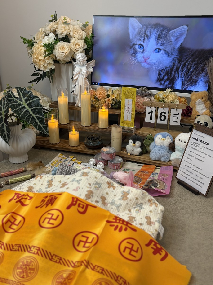 成都宠物殡葬服务实拍
