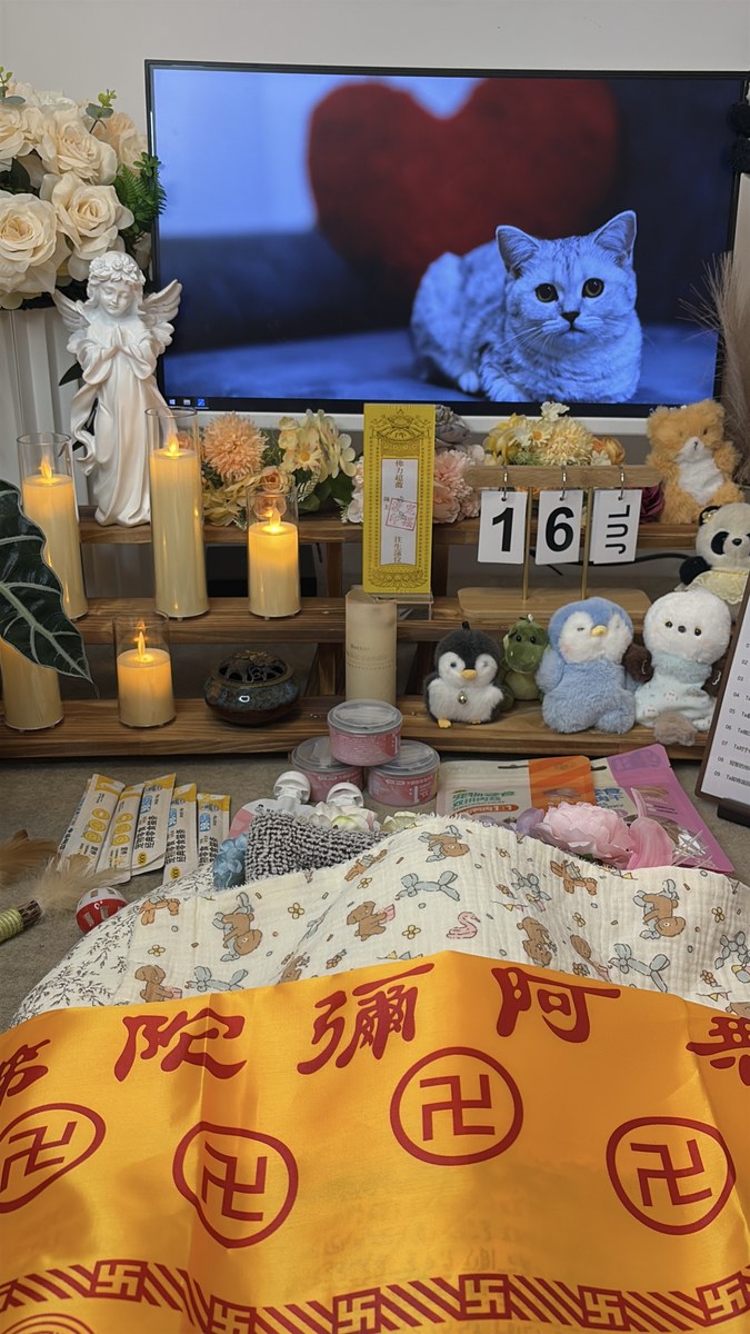 成都宠物火化前要准备哪些东西？一份清单提前收好（第20辑）