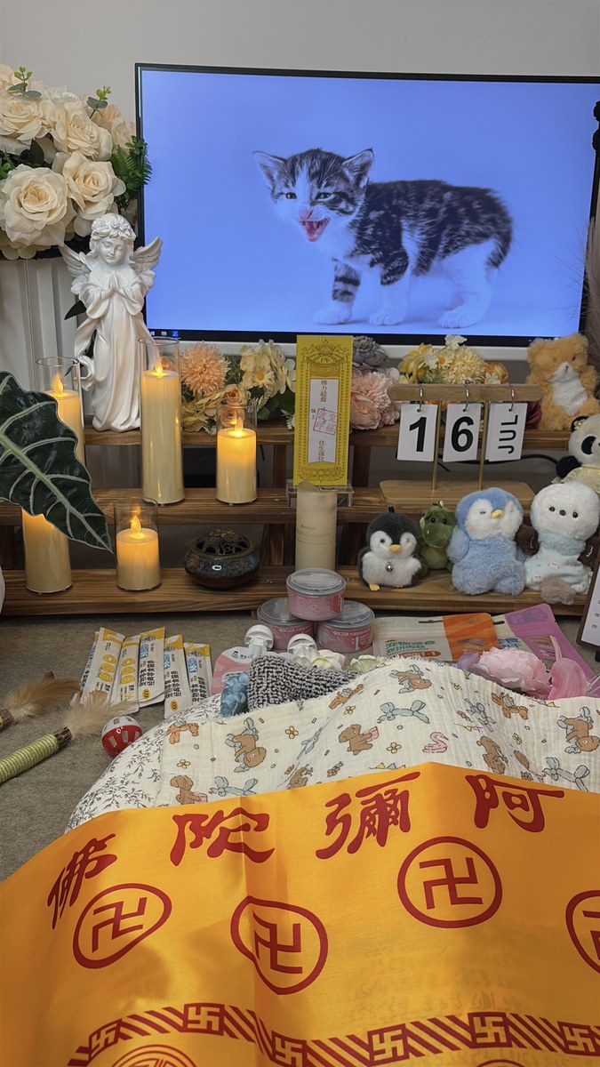 成都宠物遗体处理方式对比，火化为什么是主流选择（第3辑）