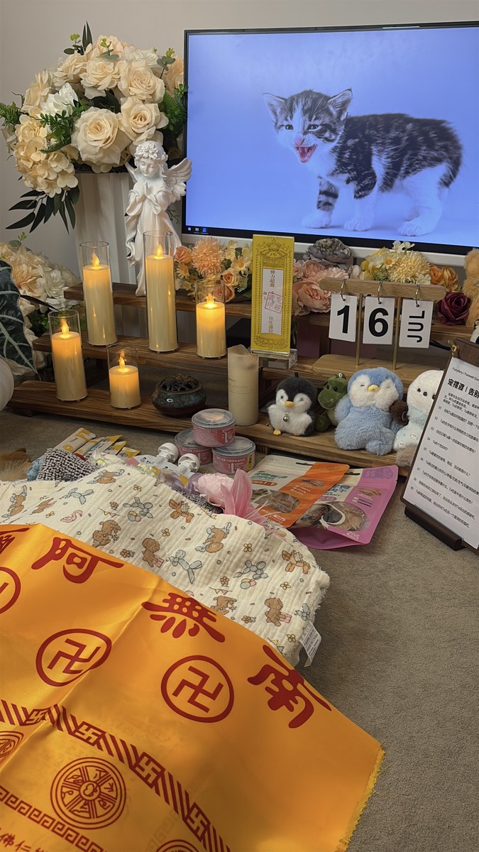 成都宠物殡葬服务实拍
