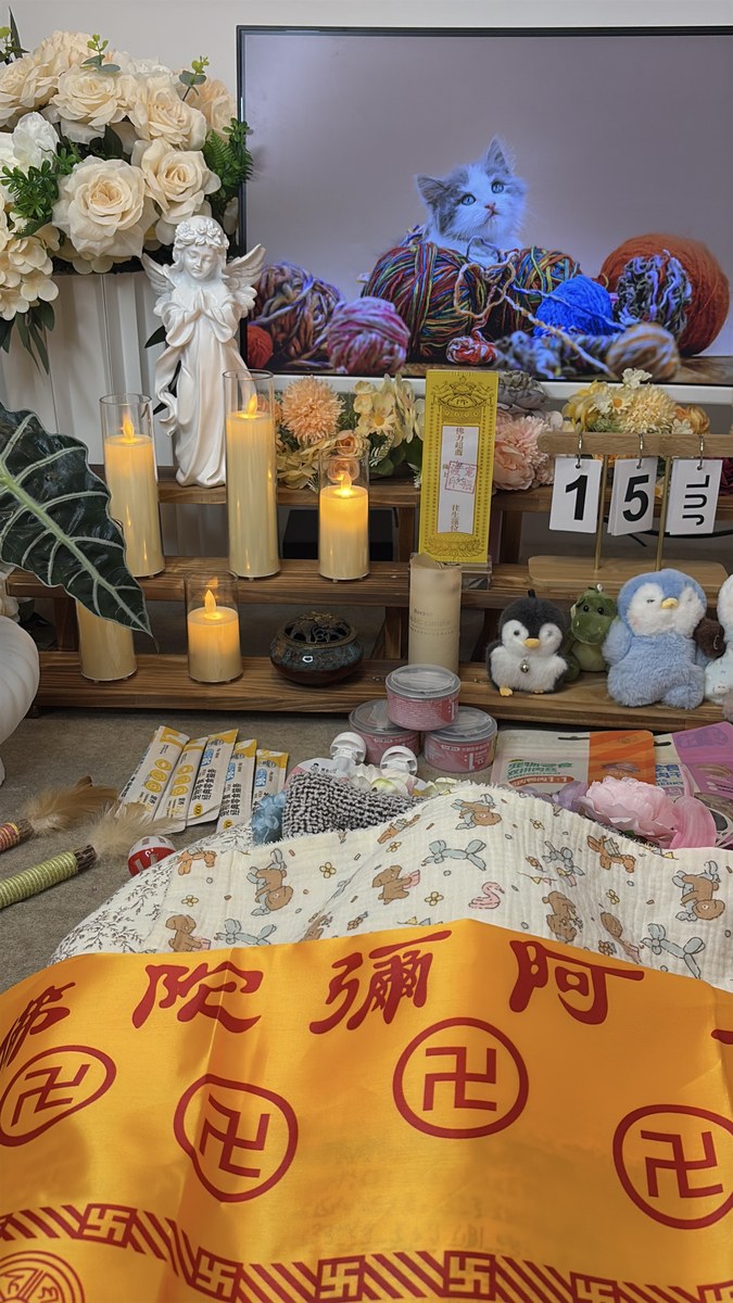 成都宠物殡葬服务实拍