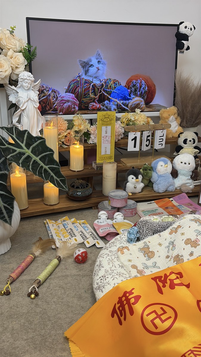 成都宠物殡葬服务实拍