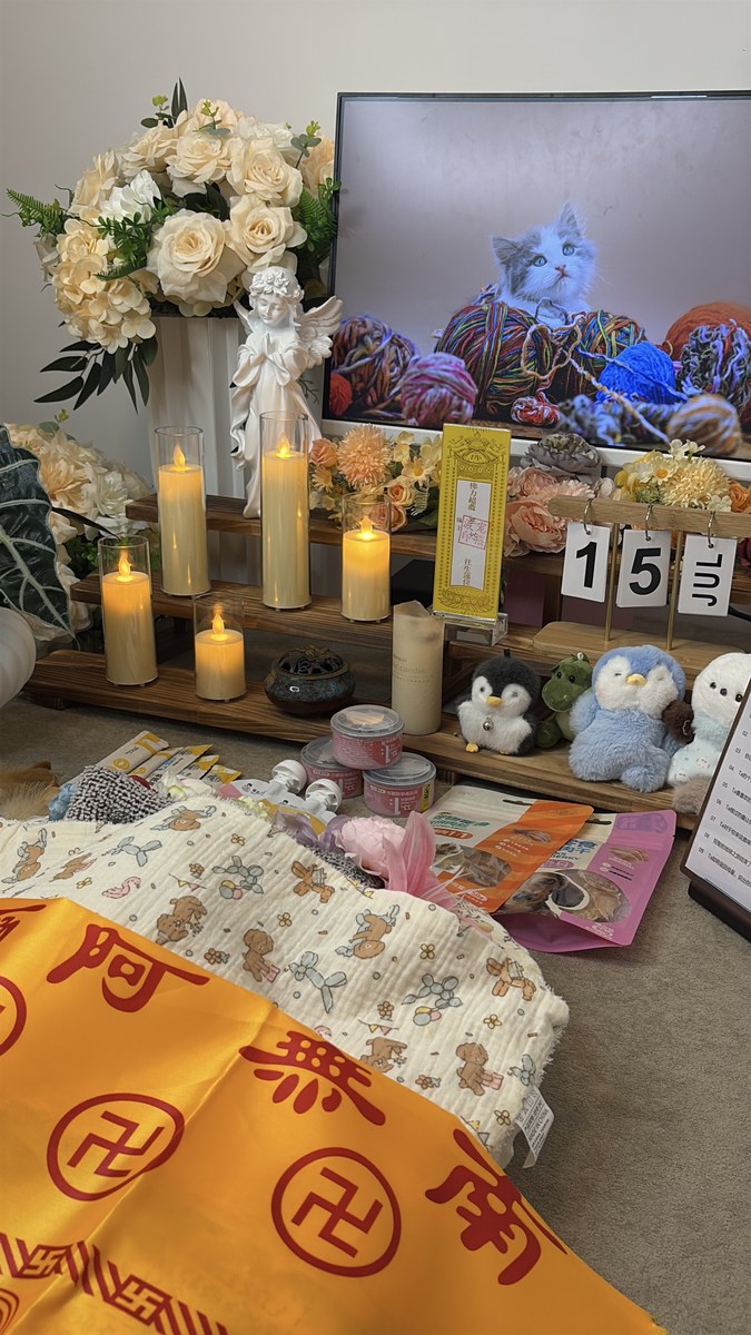 成都宠物殡葬服务实拍