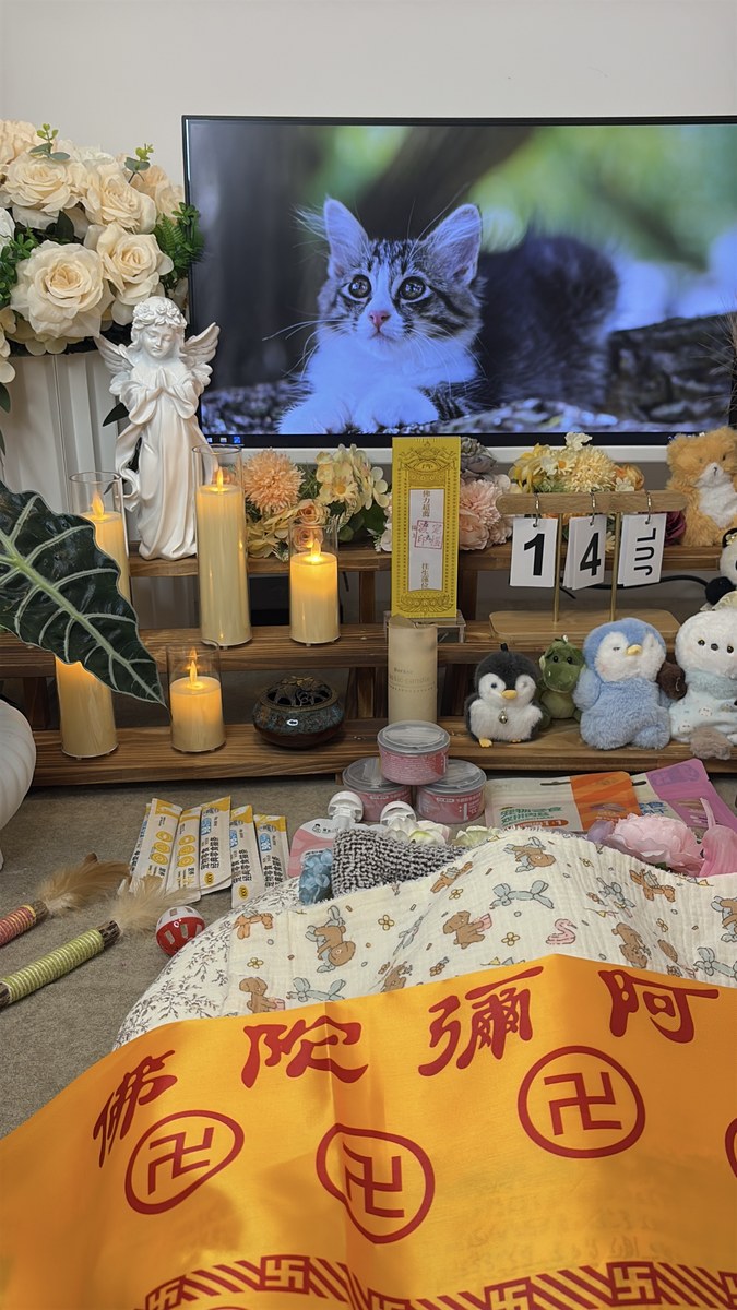 成都宠物殡葬服务实拍