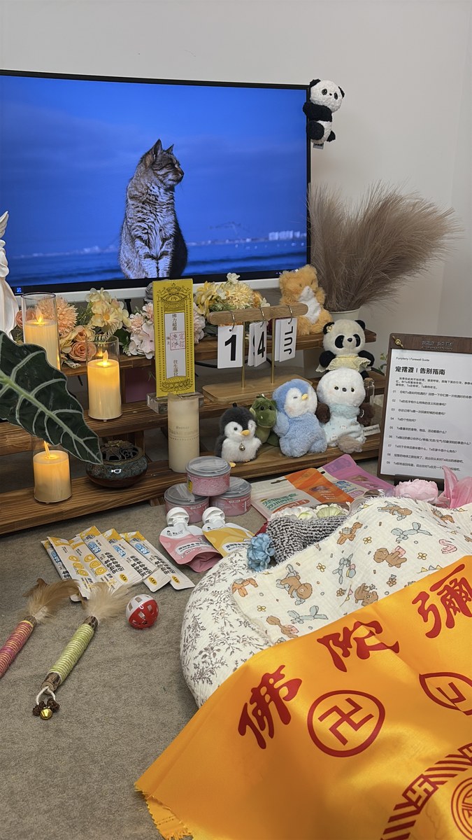 成都宠物殡葬服务实拍