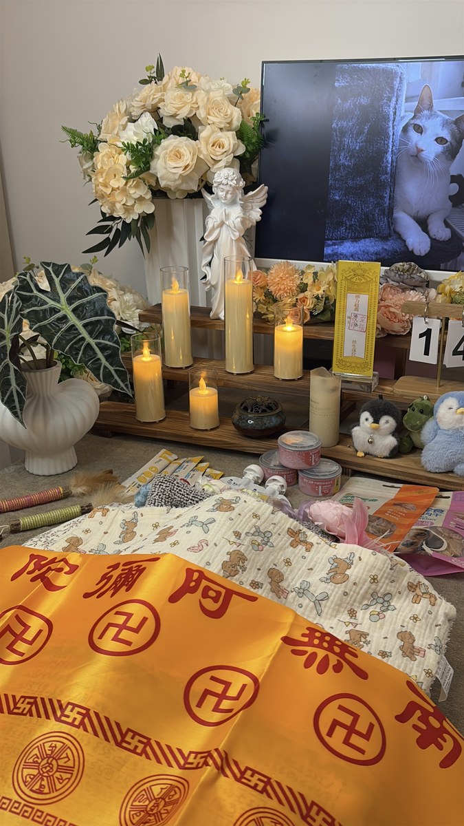 成都宠物殡葬服务实拍