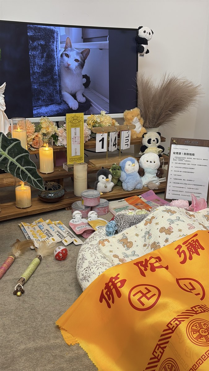 成都宠物殡葬服务实拍
