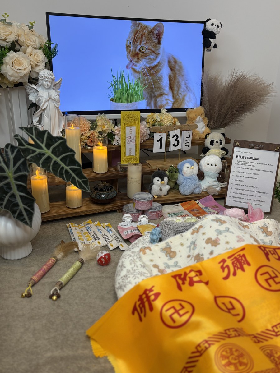 成都宠物殡葬服务实拍