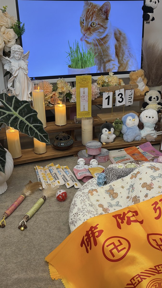 挑选宠物殡葬机构看什么？成都本地避坑指南（第3辑）