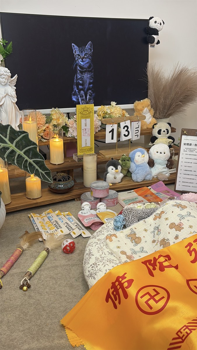 成都宠物殡葬服务实拍