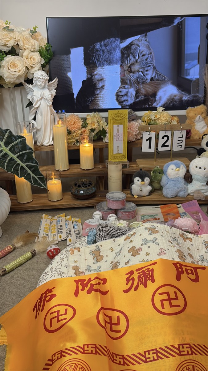 成都宠物殡葬服务实拍