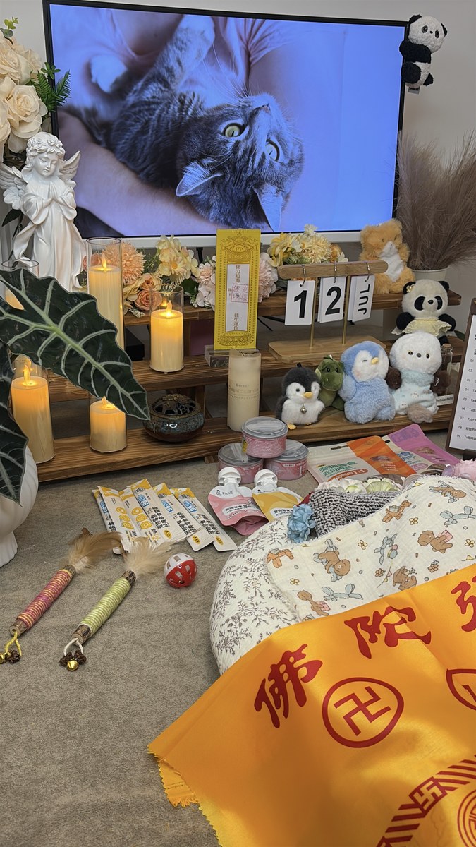 成都宠物殡葬服务实拍