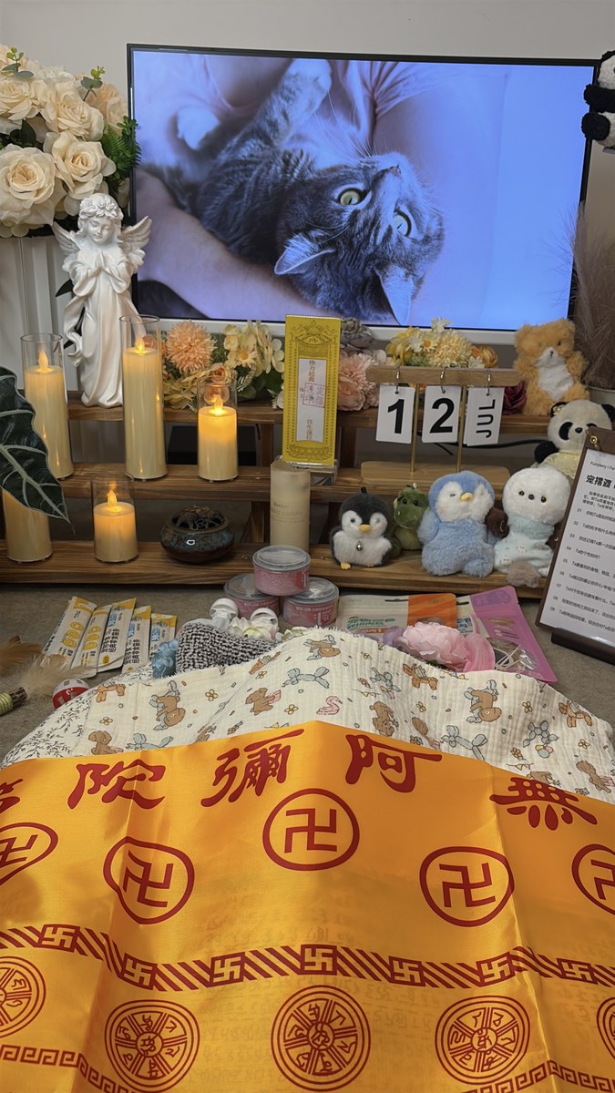 成都宠物殡葬服务实拍