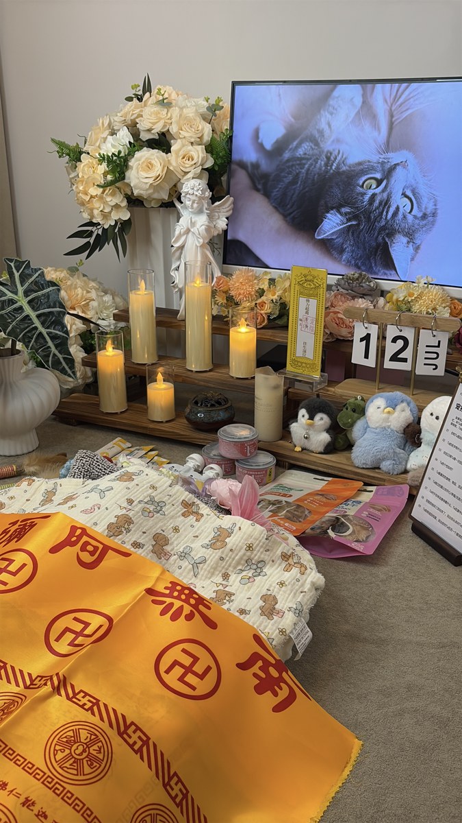 成都宠物殡葬服务实拍