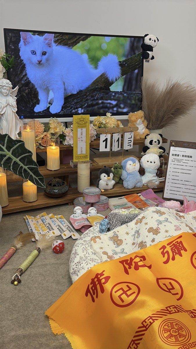 宠物火化还是土葬？成都本地合规与可行性分析（第26辑）