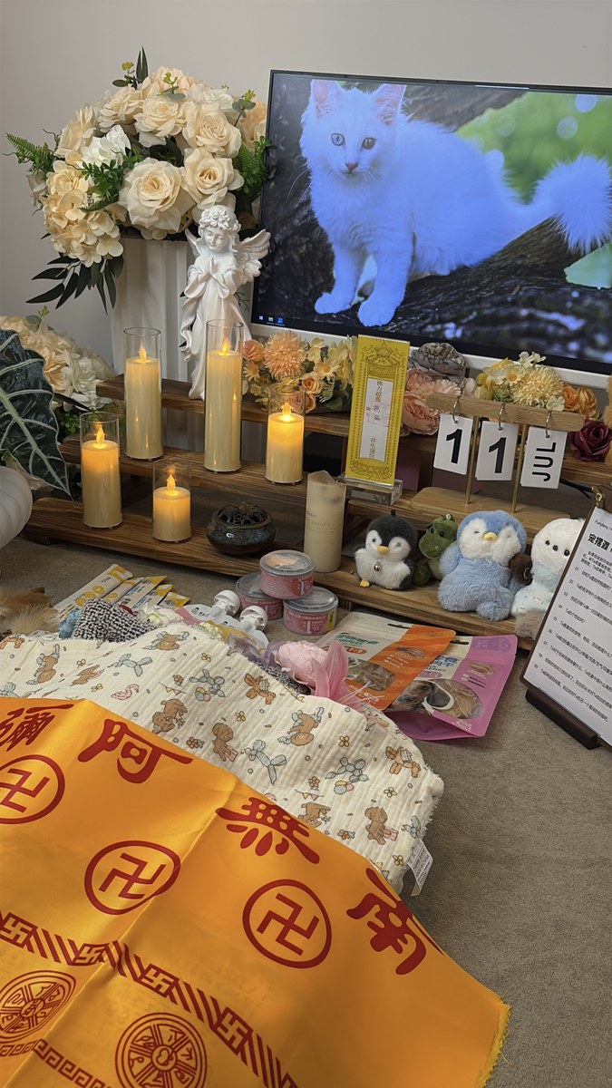 成都宠物殡葬中猫与狗的差异：流程、价格与注意事项（第3辑）