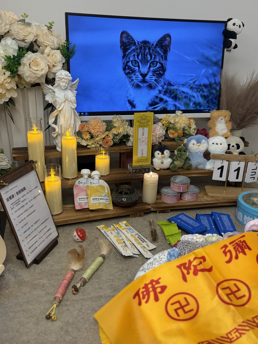 成都宠物骨灰寄存怎么选？格位、服务与注意事项（第26辑）