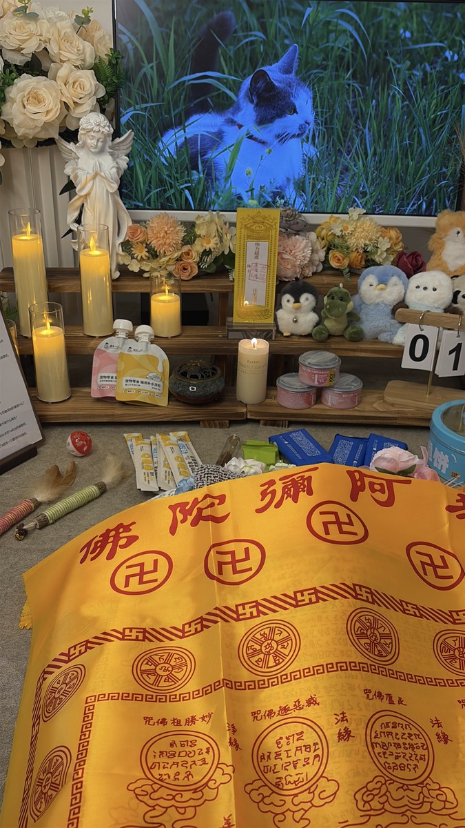 成都宠物殡葬服务实拍