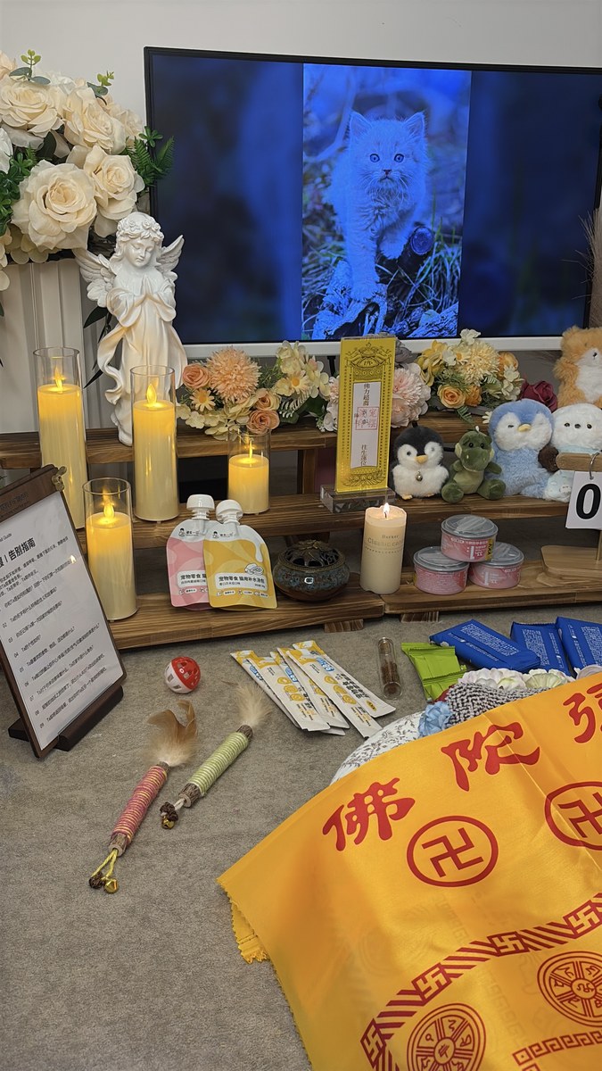 成都宠物殡葬服务实拍