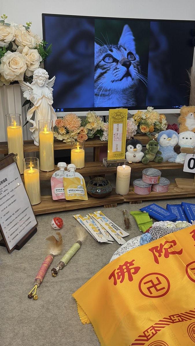 成都宠物殡葬服务实拍