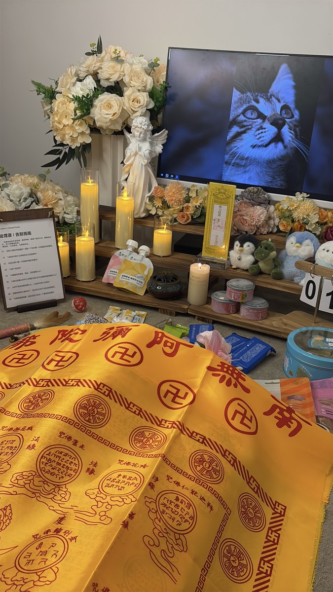 成都宠物殡葬服务实拍
