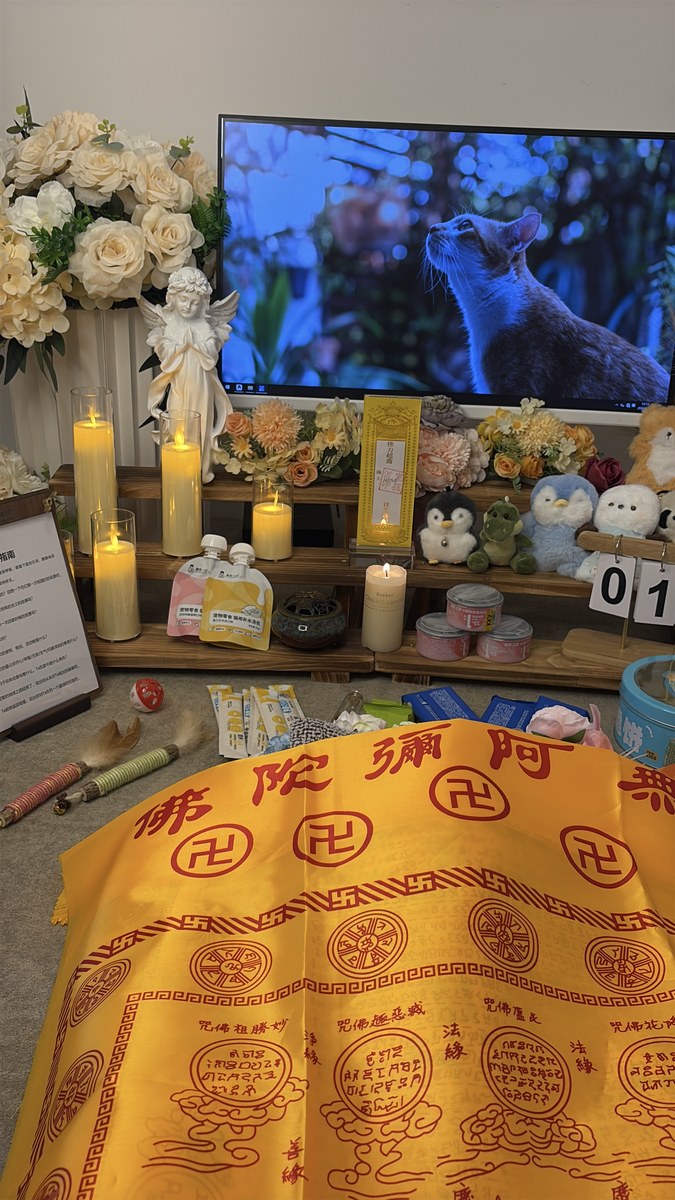 成都宠物殡葬服务实拍