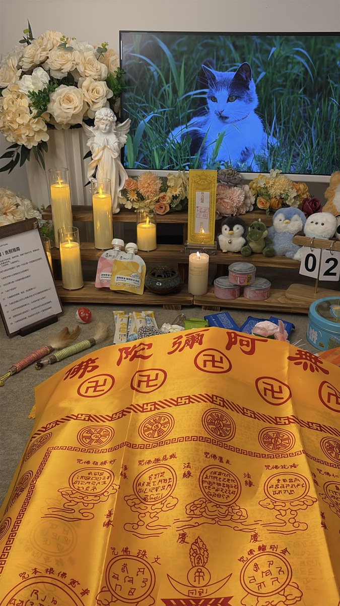 成都宠物殡葬服务实拍