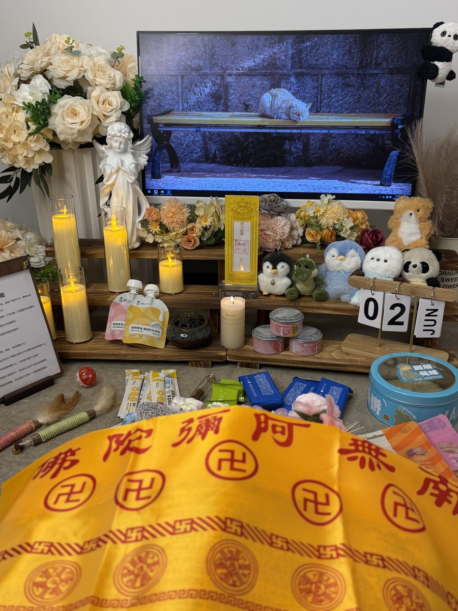 成都宠物殡葬服务实拍